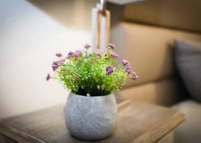 Casa Fundo De Apartamento