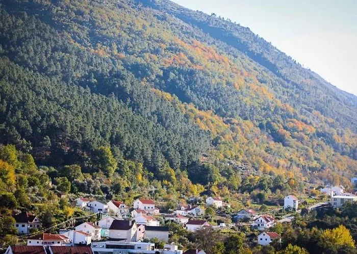 Casa Fundo De Apartamento *